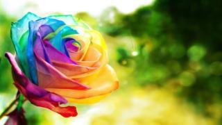 تعرف على نفسك من خلال عشقك للون ما