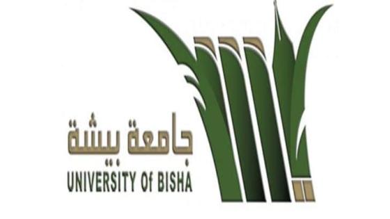 جامعة بيشة