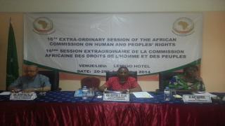 اللجنة الإفريقية لحقوق الإنسان تستعرض الملف المصري