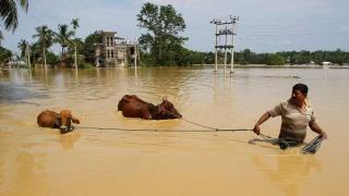 فيضانات الهند