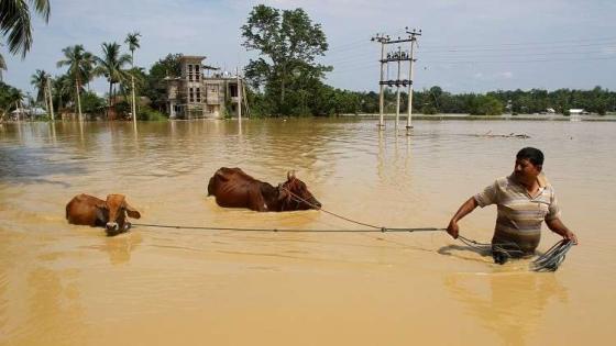 فيضانات الهند