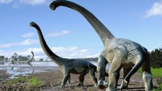 مجموعة من العلماء يكتشفون فصيلة جديدة من الديناصورات في كندا