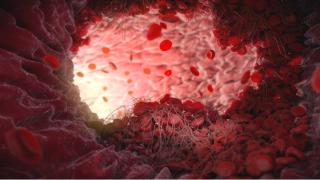 باحثون يؤكدون تراجع جودة النطفة مع تقدم السن