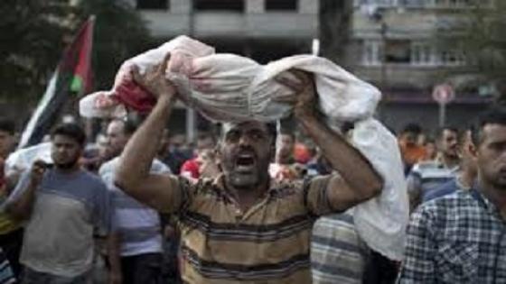 طفل فلسطيني يلقى حدفه تحت عجلات مستوطن إسرائيلي