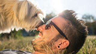 العلماء يكتشفون جينة “الود” التي تميّز الكلاب عن الذئاب