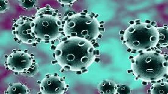 انخفاض نسبة الاصابات بين كبار السن بفيروس كورونا اليوم الثلاثاء 19 مايو 2020