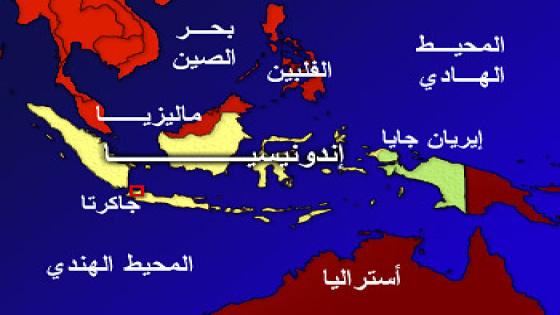 تسونامي يدمر خطوط كهرباء بدولة بابوا غينيا الجديدة