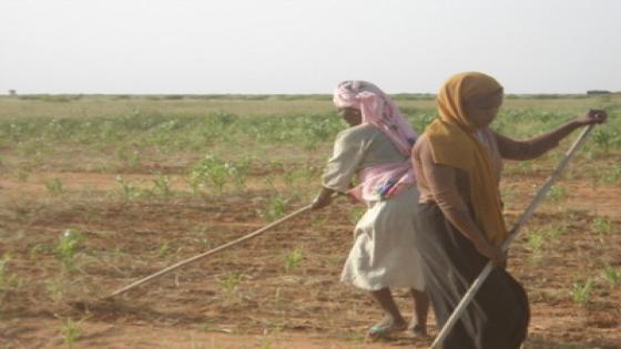 قلق أممي بشأن وضع المرأة السودانية