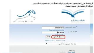 فارس الخدمة الذاتية