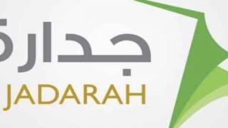 جدارة الخدمة المدنية