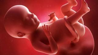 أشعة الدوبلر فى الشهر التاسع من الحمل