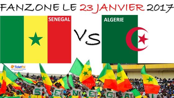 مباراة الجزائر والسنغال اليوم على الملعب الدانجوندجي ولحظة حرج حاسمة في الكان