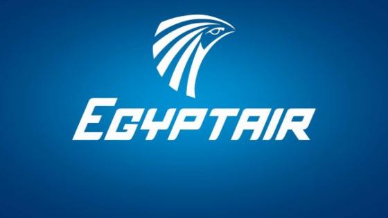 إستقالات جماعية لمئات الطيارين في مصر
