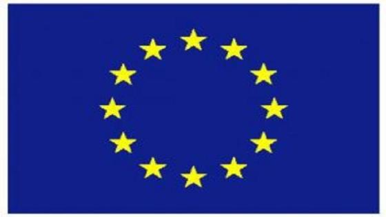 الامم المتحدة